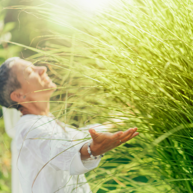 Méditation, L'abondance du moment présent